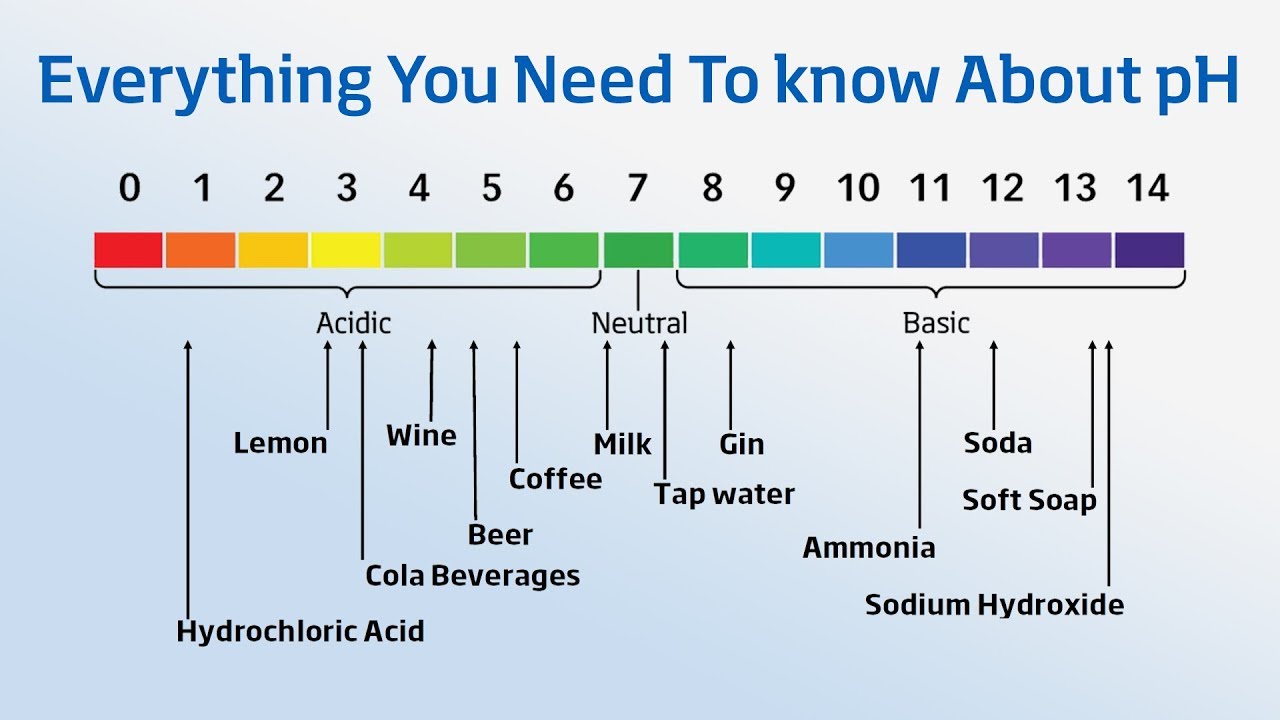 an image of the pH scale